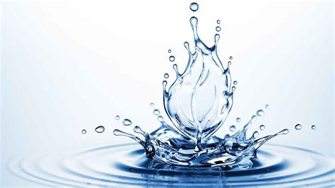 The Hydration Connection: 2-Minute Insights